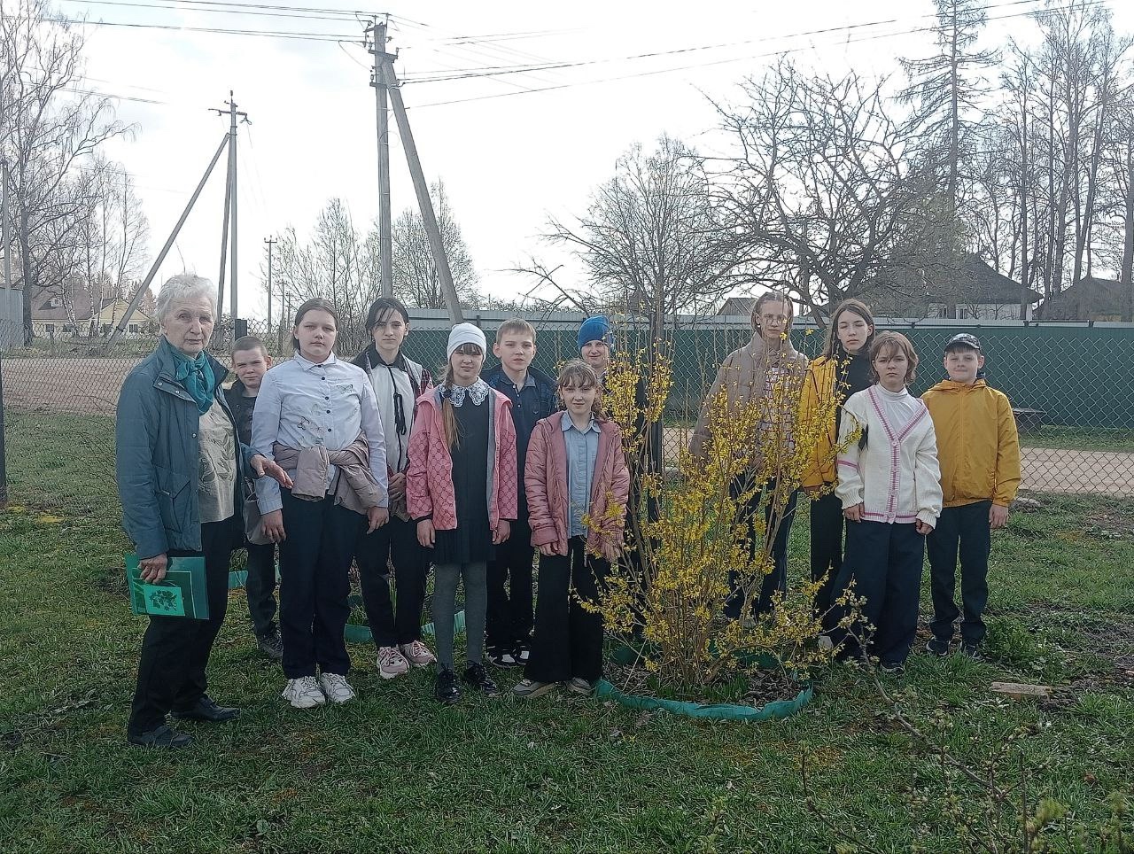 Экскурсия в природу «Салют весне.