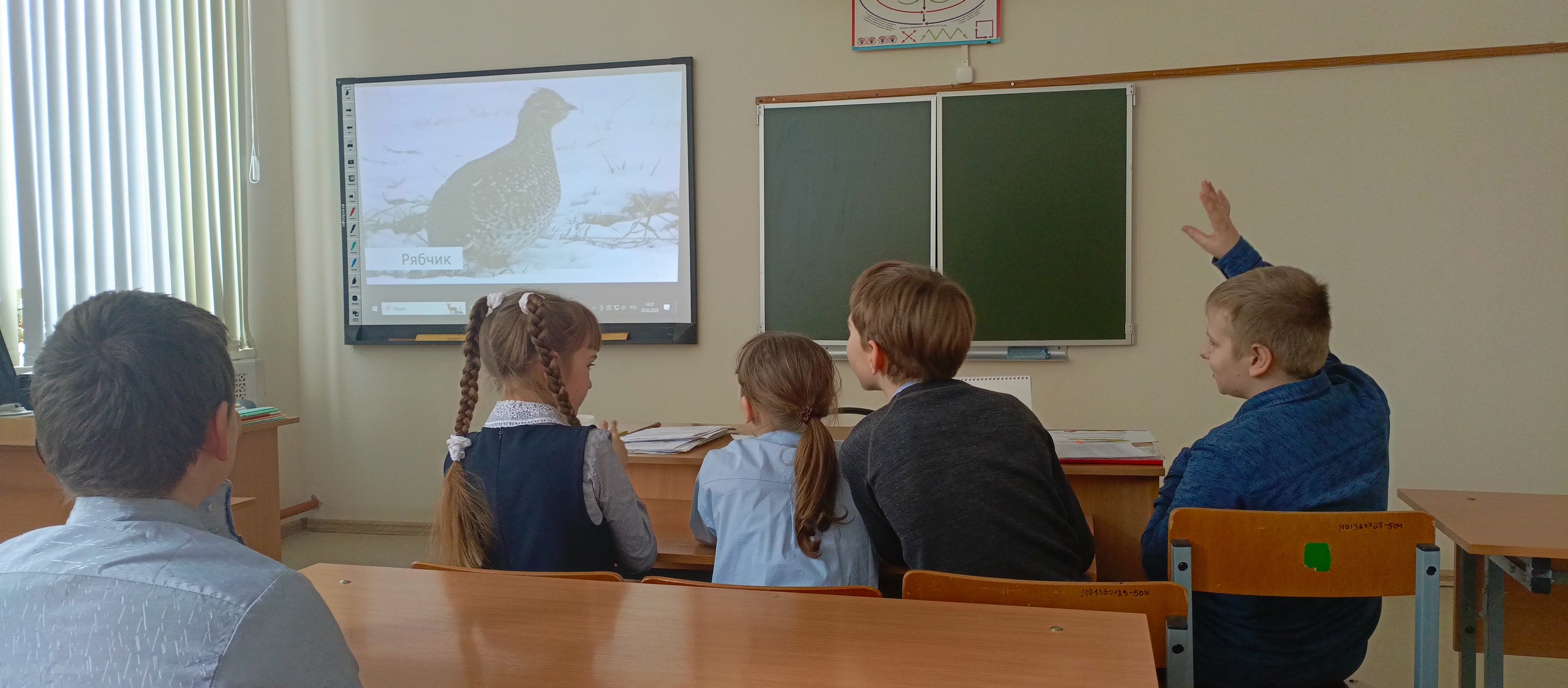 Зимующие птицы нашего региона.